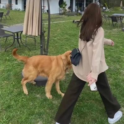 戆叔儍侄